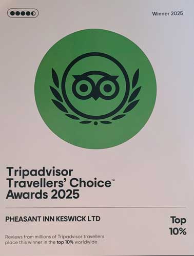 TripAdvisor-Award-2025